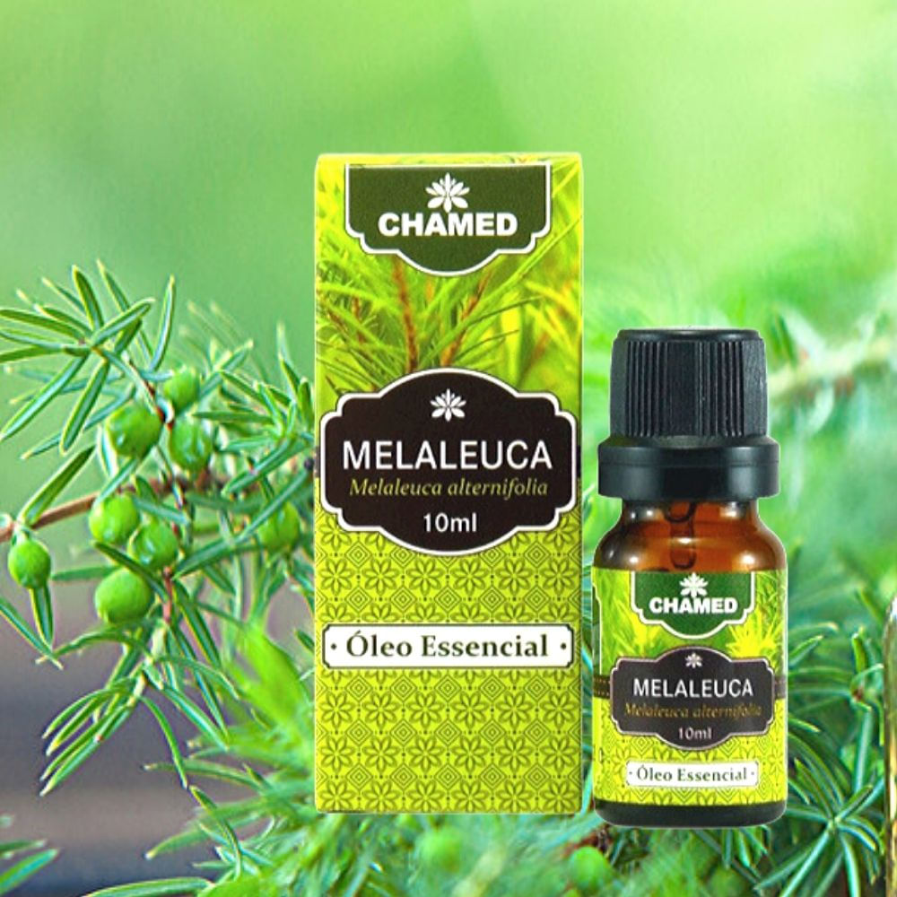 Óleo Essencial de Melaleuca   Tea Tree  10ml    CHAMED  100% Puro   3 Frascos