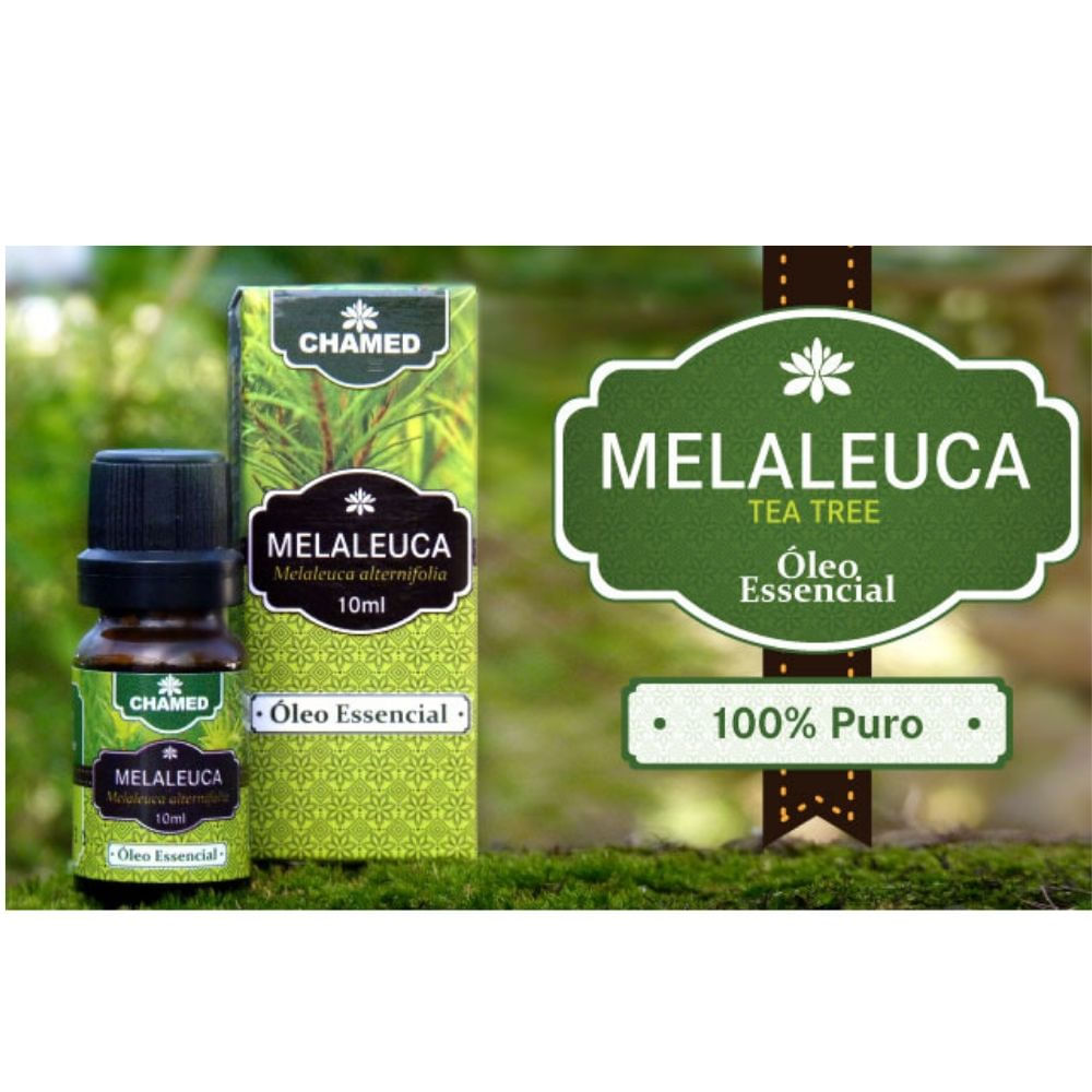 Óleo Essencial de Melaleuca   Tea Tree  10ml    CHAMED  100% Puro   3 Frascos