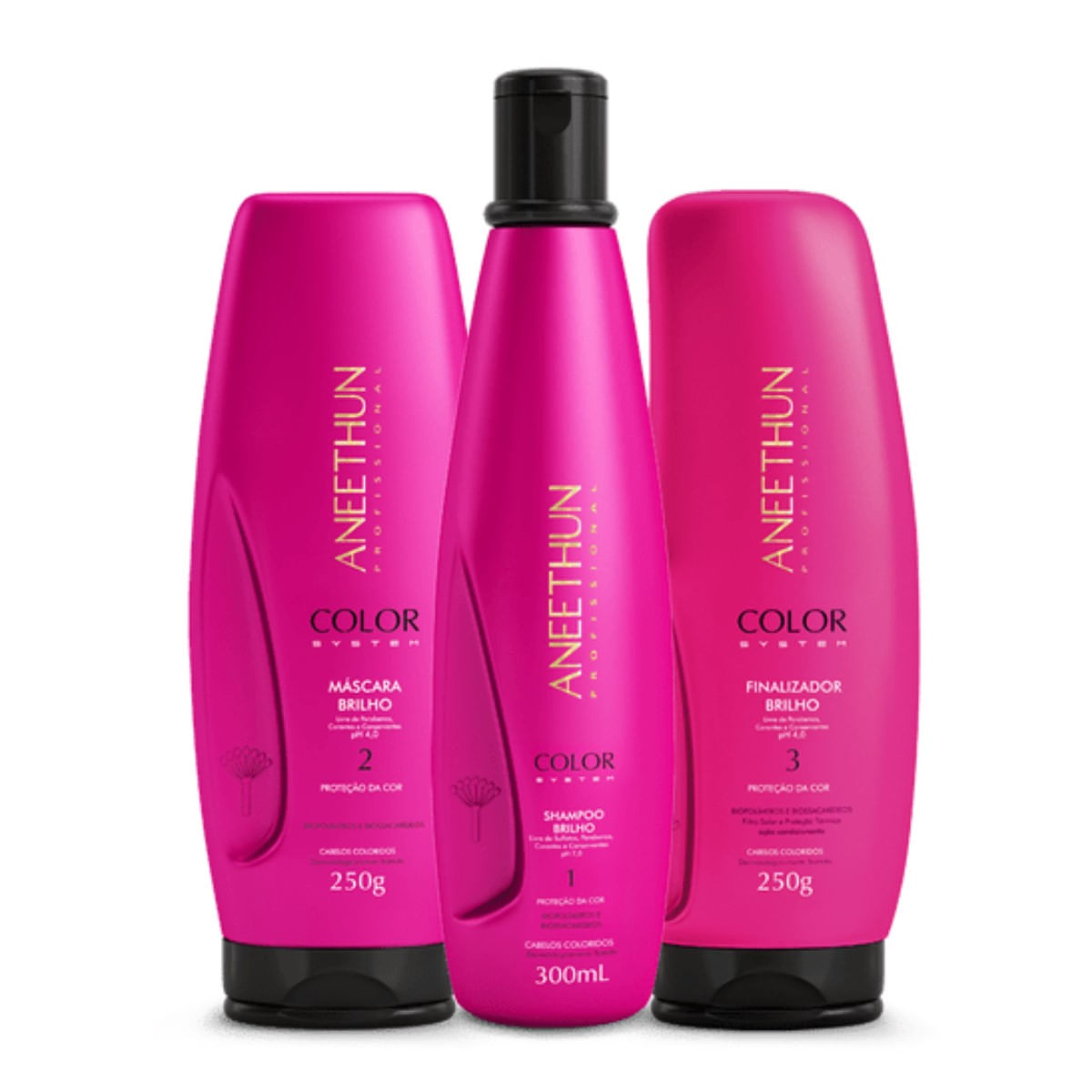 Kit Aneethun Color System SH300ml+Mask250g+Finalizador250g