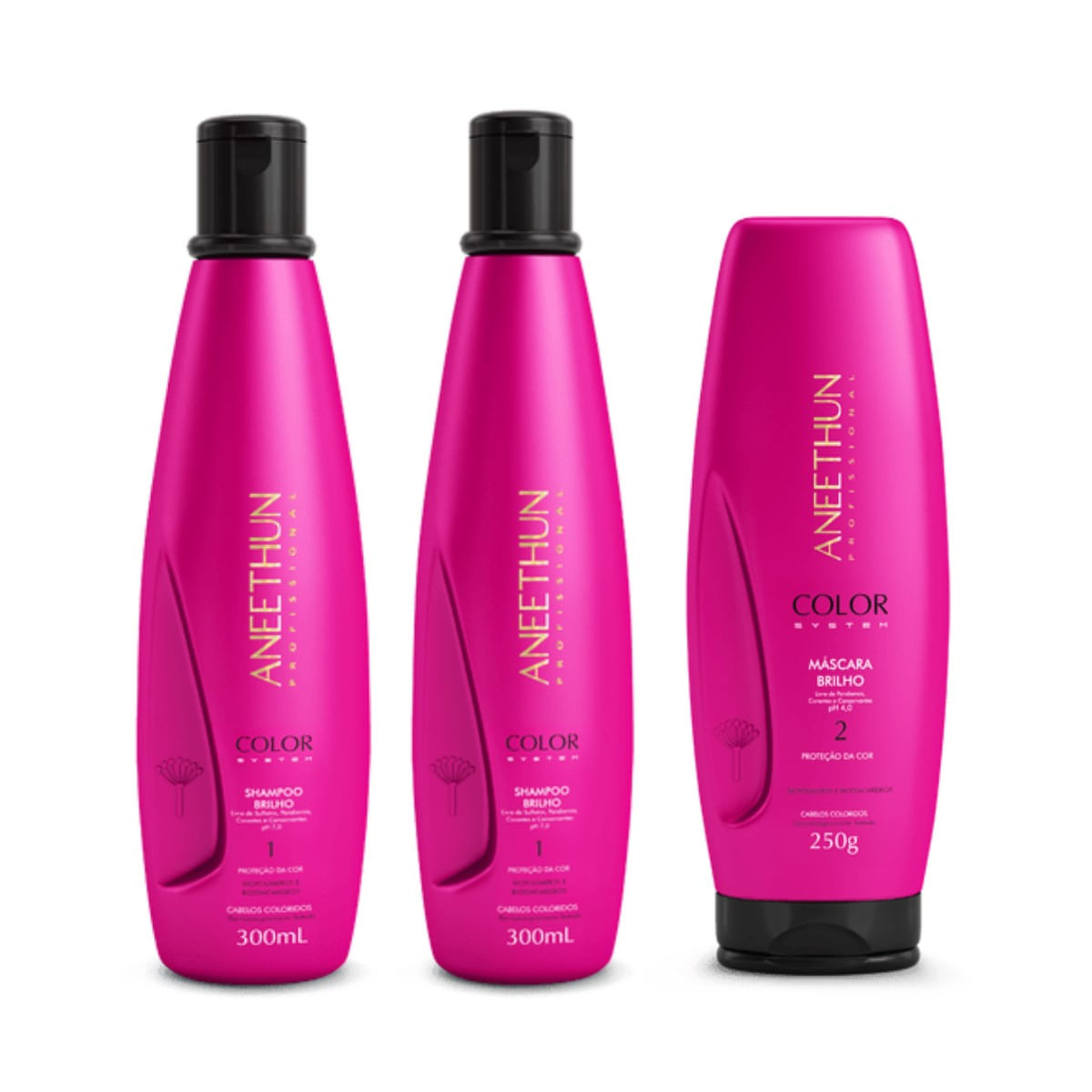 Kit Aneethun Color System 2 Shampoos 300ml + Máscara 250g