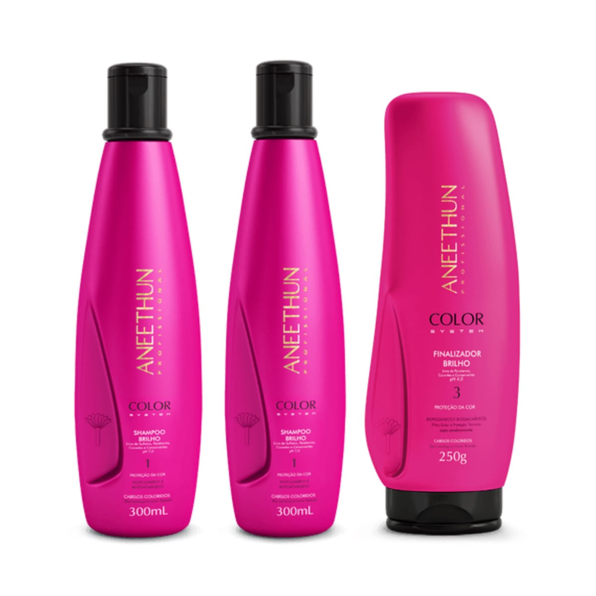 Kit Aneethun Color System 2 Shampoos 300ml+Finalizador 250g