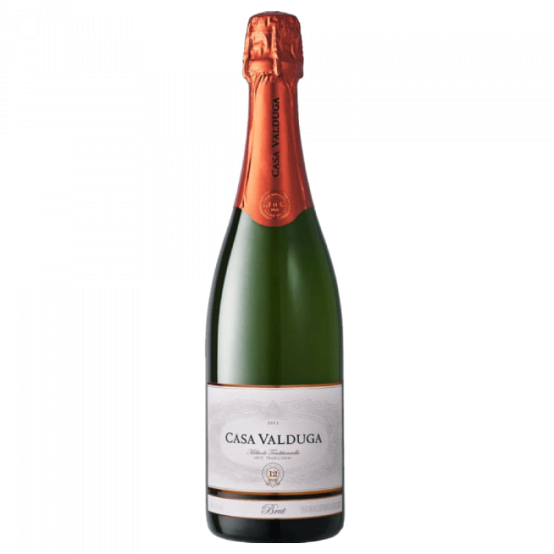 Espumante Casa Valduga Arte Tradicional Brut 750ml