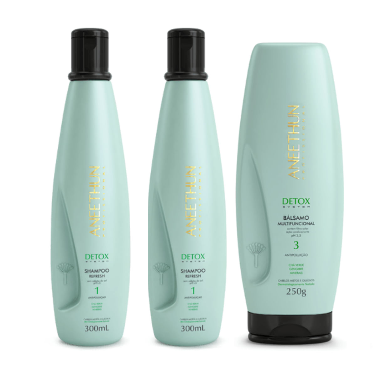 Kit Aneethun Detox System 2 Shampoos 300ml + Bálsamo 250g