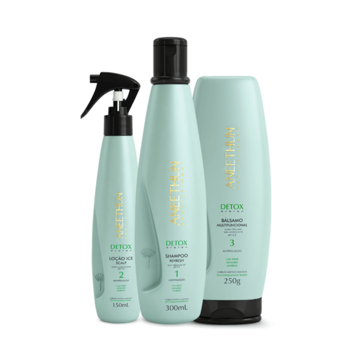 Kit Aneethun Detox SH 300ml + Loção 150ml + Bálsamo 250g