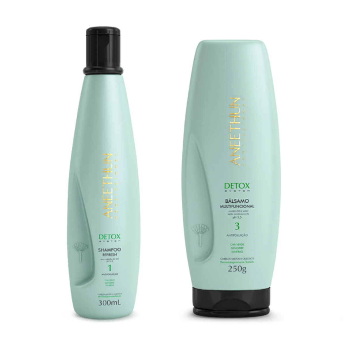 Kit Aneethun Detox System Shampoo 300ml + Bálsamo 250g