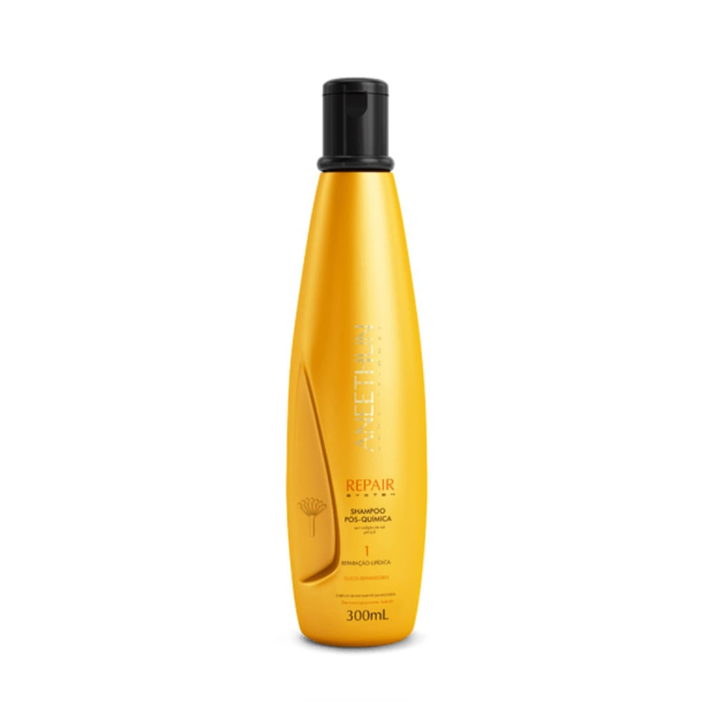 Aneethun Shampoo Repair System Pós Química 300ml
