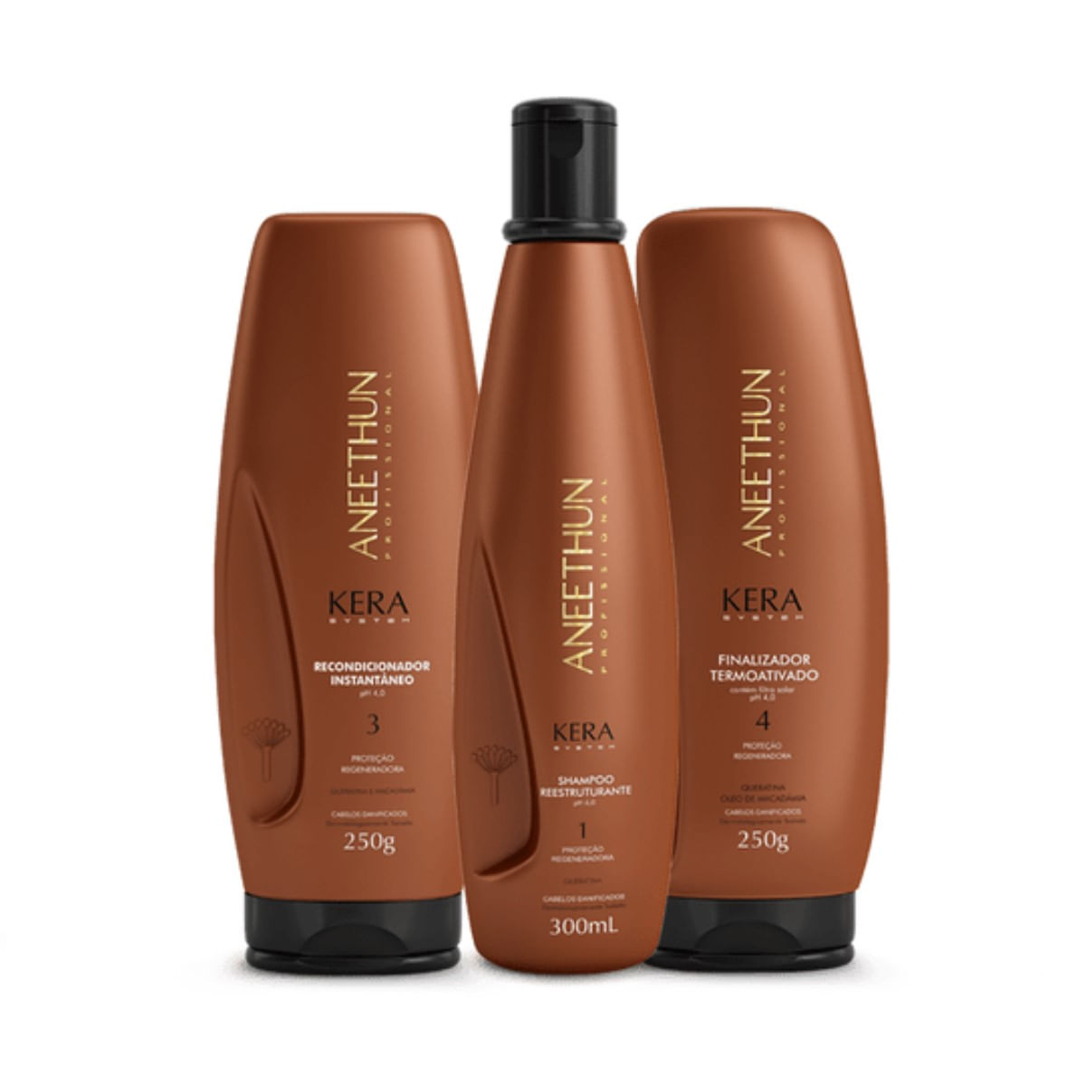 Kit Aneethun Kera System 2 Shampoos Reest.+Finalizador Term.