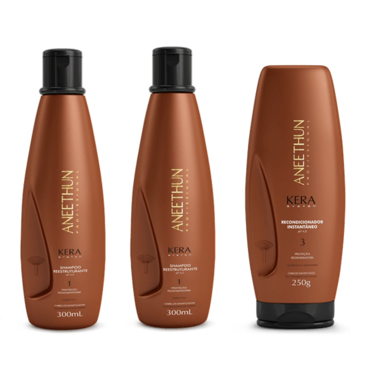 Kit Aneethun Kera System 2 Shampoos Reest. + Recond. Inst.