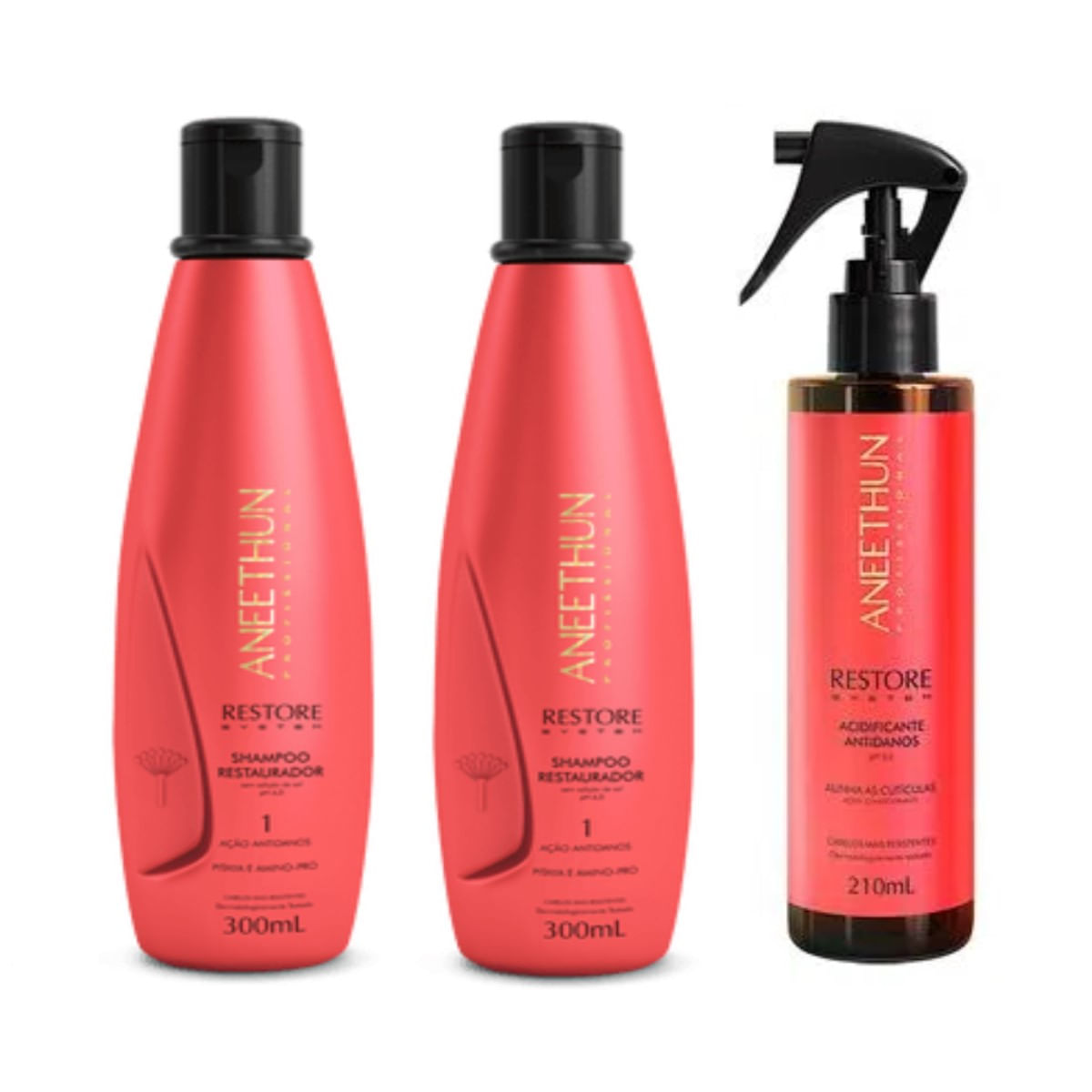 Kit Aneethun Restore System 2 Shampoos + Acidificante 210ml