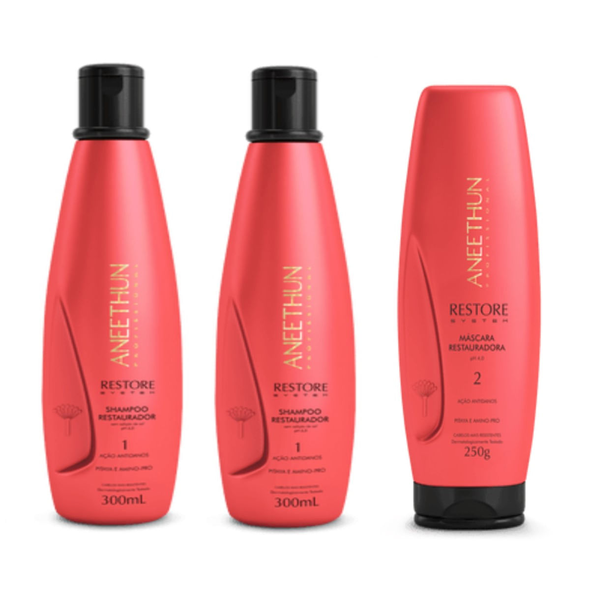 Kit Aneethun Restore System 2 Shampoos + Máscara 250gr