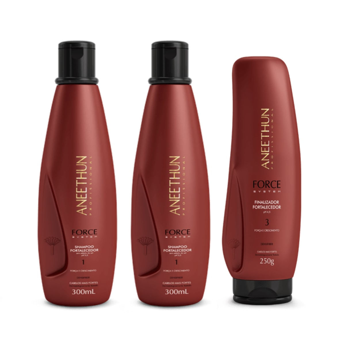 Kit Aneethun Force System 2 Shampoos 300ml +Finalizador 250g