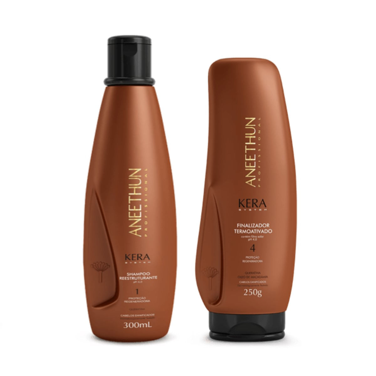 Kit Aneethun Kera System Shampoo Reest. +Finalizador Term.