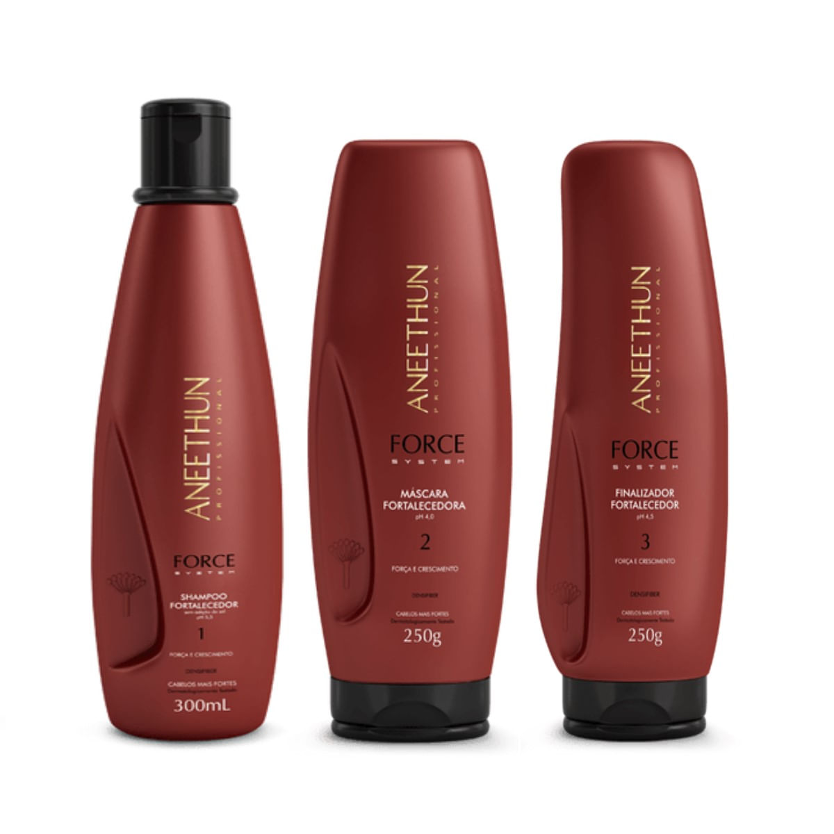 Kit Aneethun Force System Shampoo +Máscara +Finalizador 250g