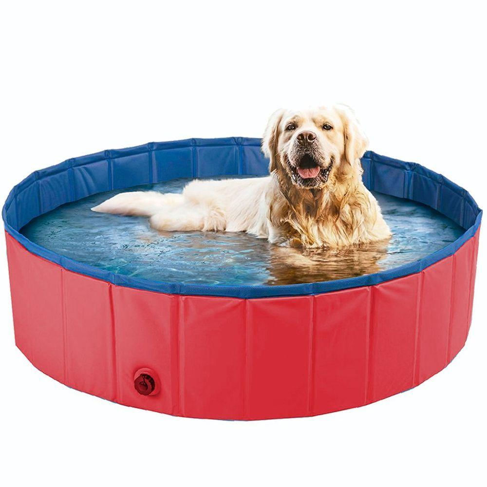 Piscina Para Pets 80x20cm Meu Pet