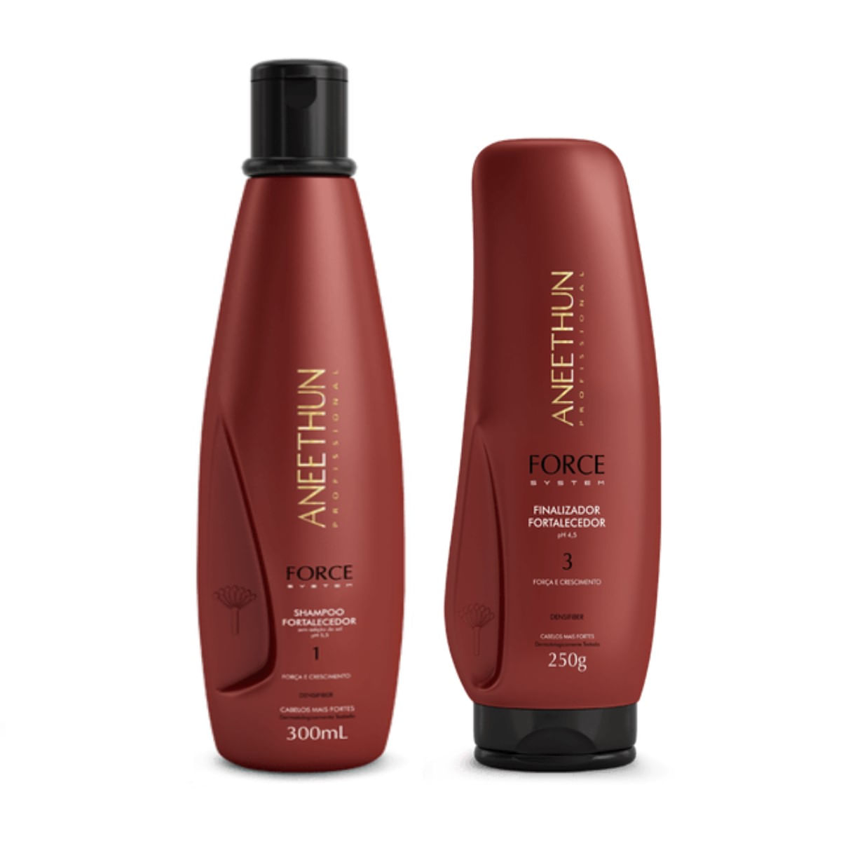 Kit Aneethun Force System Shampoo 300ml + Finalizador 250g