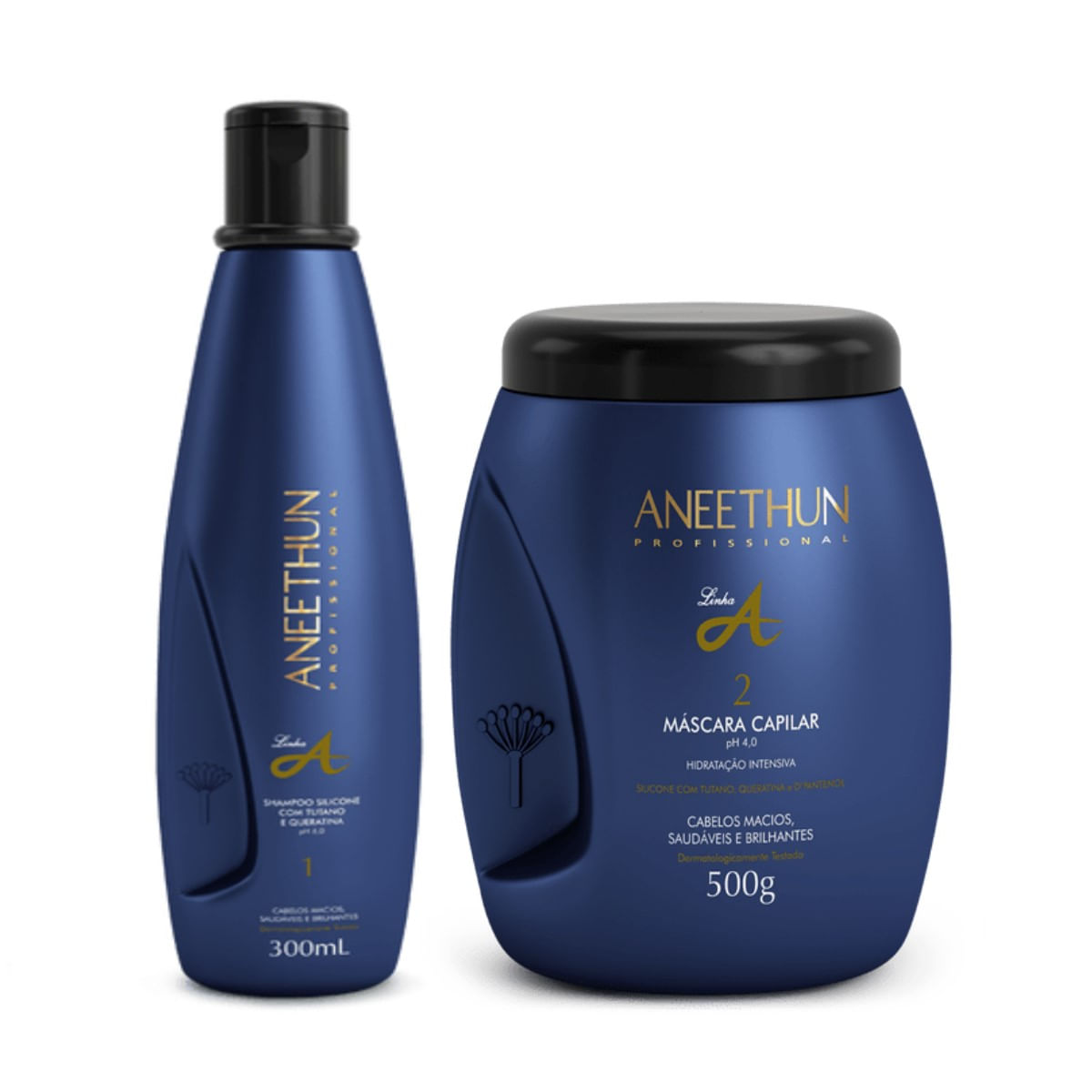 Kit Aneethun Linha A Shampoo 300ml + Máscara 500g