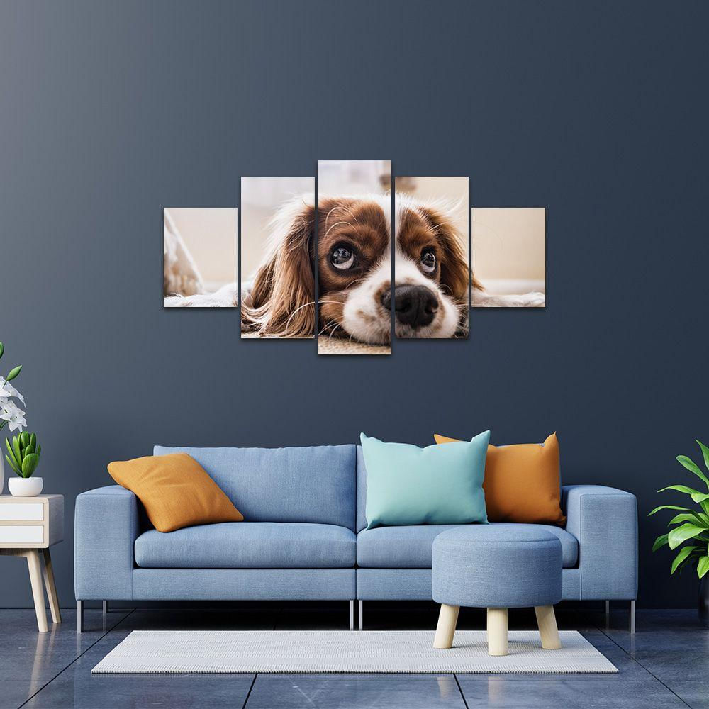 Kit Placa Quadro Decorativos 5 Pç 3d Borda Infinita Cachorro