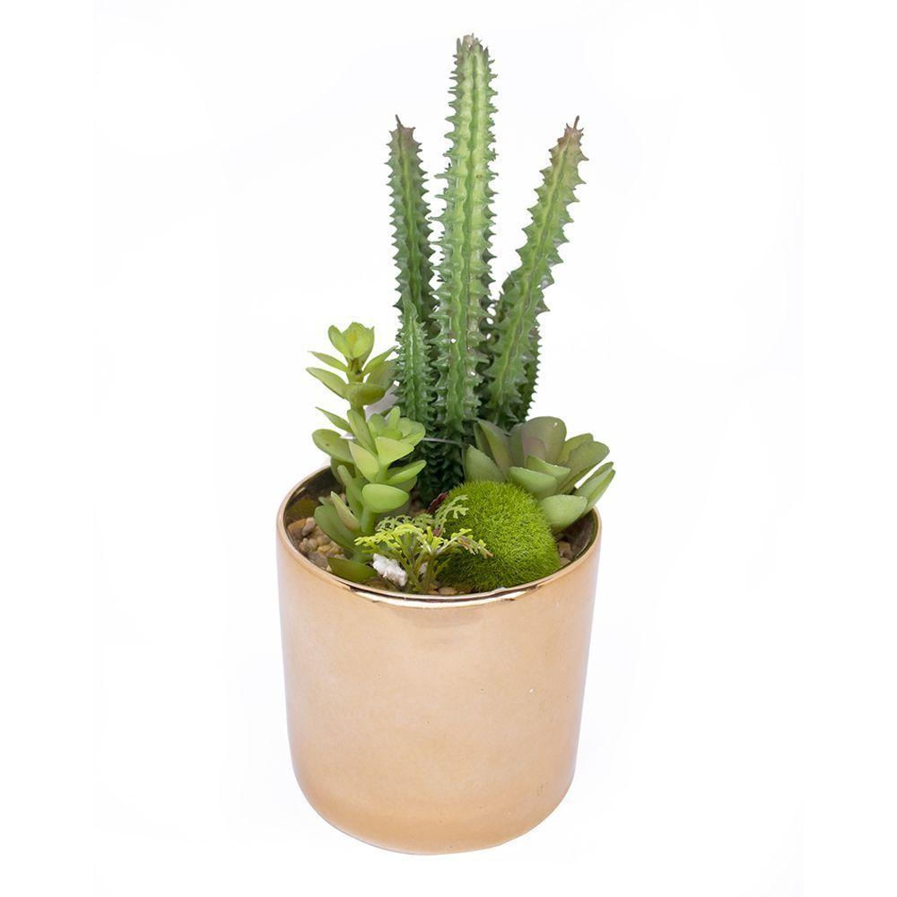 Vaso Decorativo Dourado Com Cactos E Suculenta Artificial 19x8 Cm F04 - D'rossi