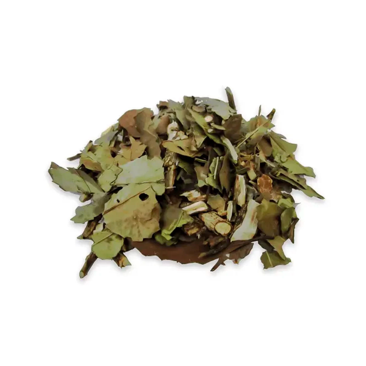 Chá Verde Nacional Camellia Sinensis - 100g