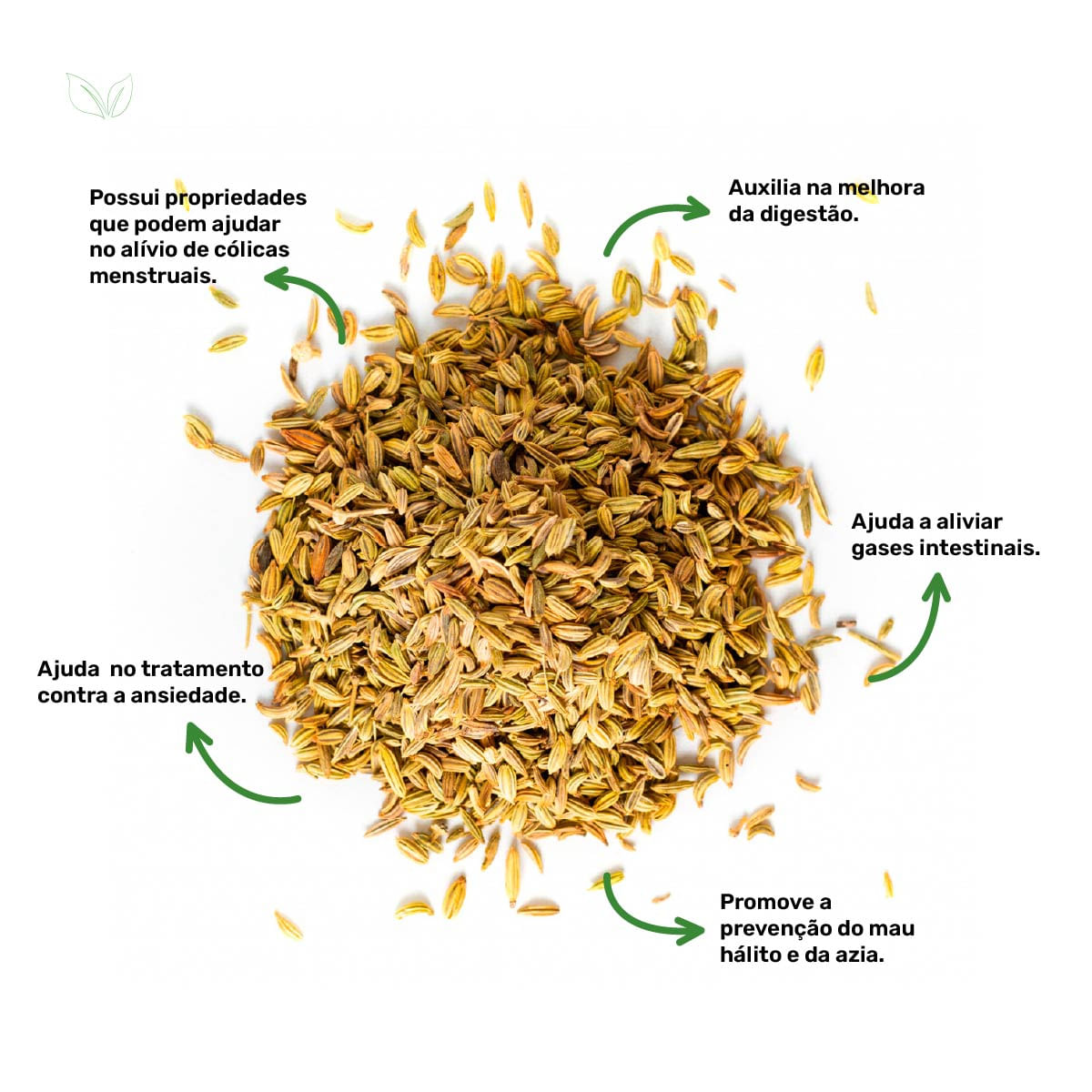 Chá de Funcho - Foeniculum vulgare Miller - 100g