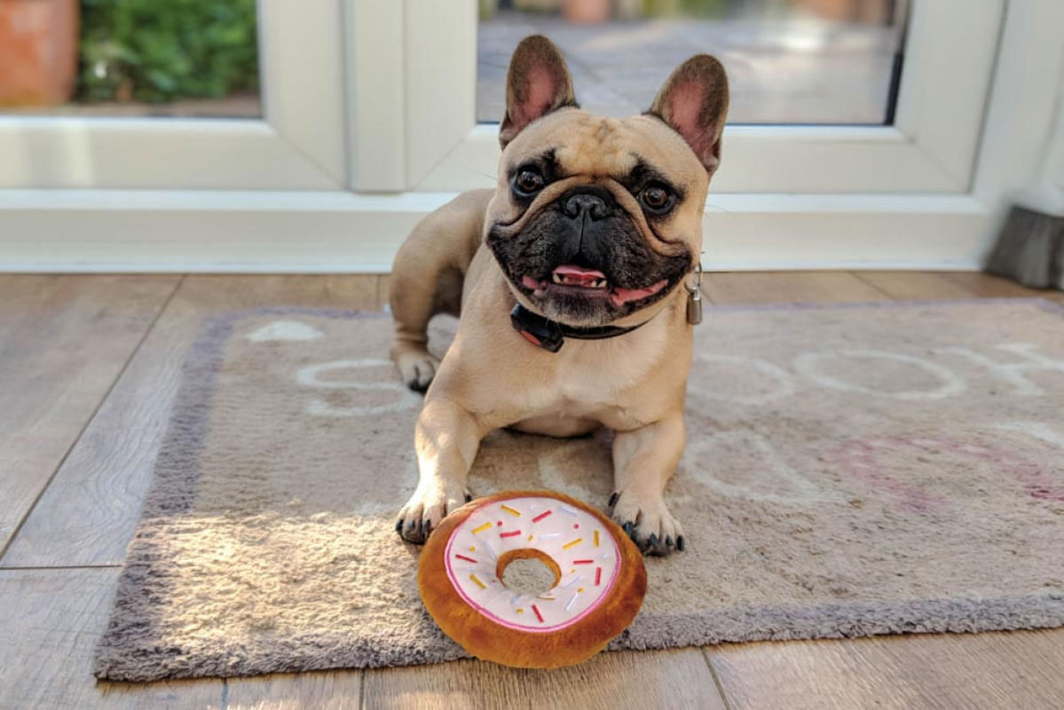 Brinquedo Pelúcia Donut