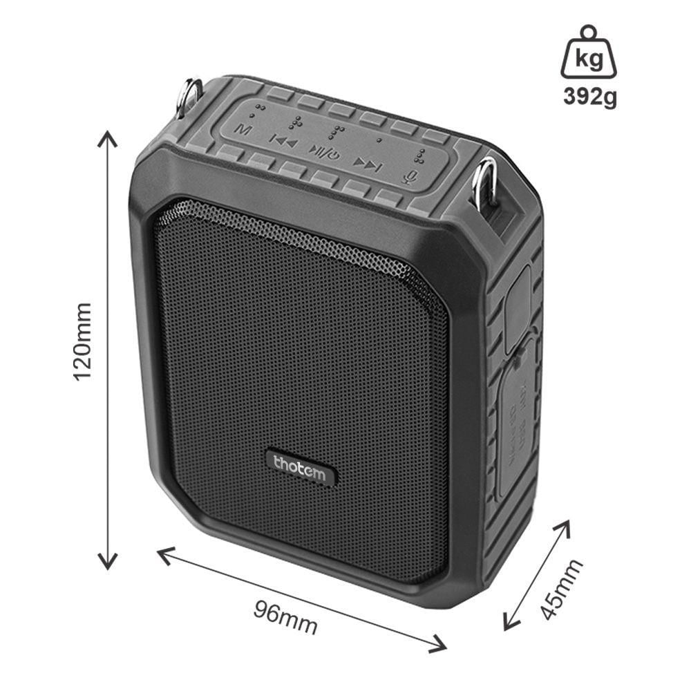 Amplificador Profissional Portátil De Voz Thotem Ax, 18w De Potência E Acompanhado De 2 Microfones