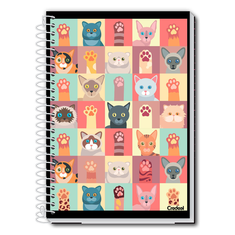 Caderno Universitário Feminino My Collection 80F/1 Matéria Credeal