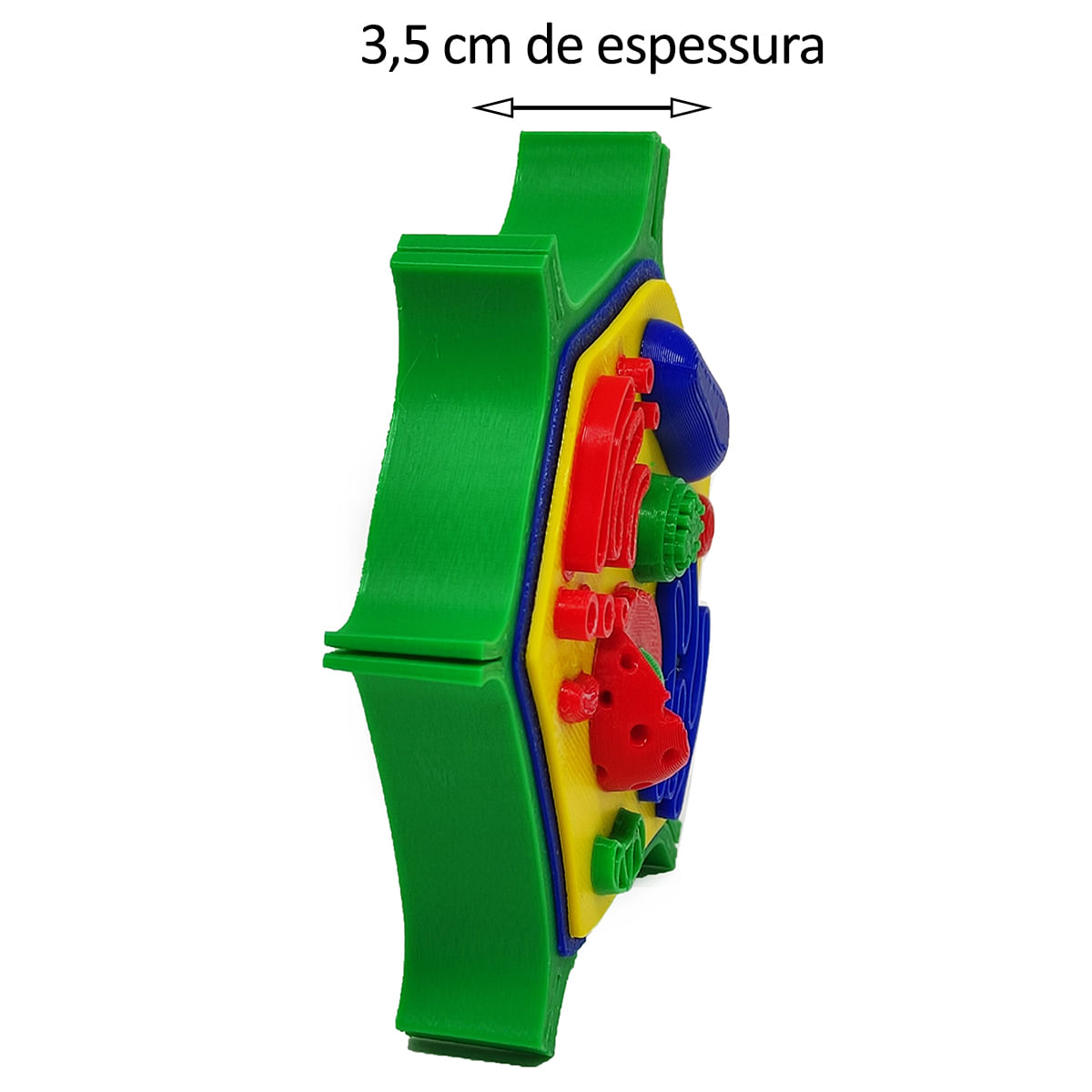 Célula Vegetal 14 cm Impressão 3d Maquete Biologia Citologia