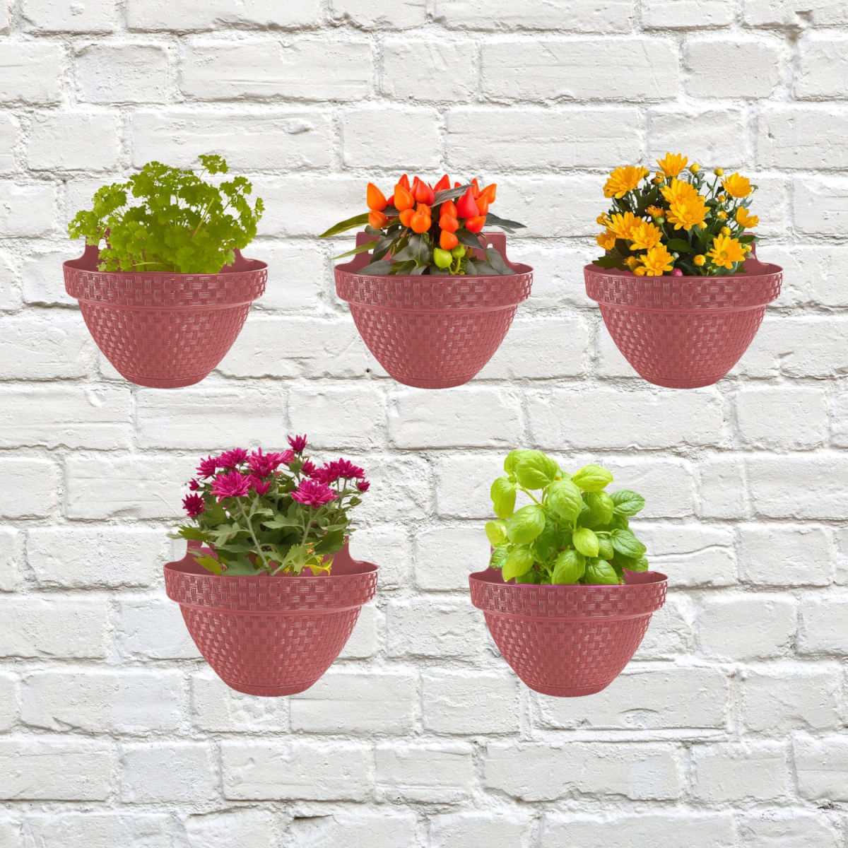 Vaso de Parede Terracota Meia Lua Rattan para 3 Litros de Plantas Anti Dengue e Flores na sua Jardinagem