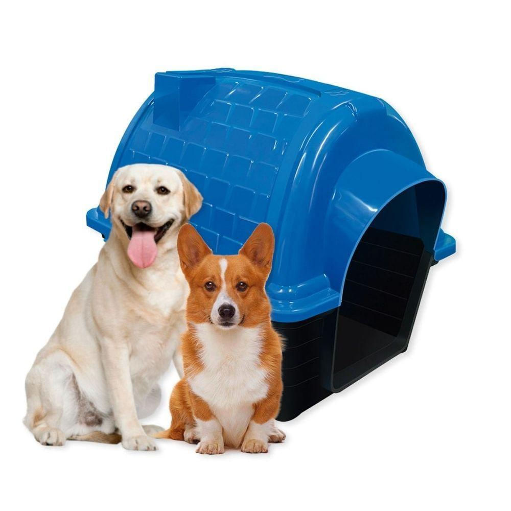 Casinha Pet Iglu N5 Para Cães De Porte Médio E Grande Conforto E Proteção Azul