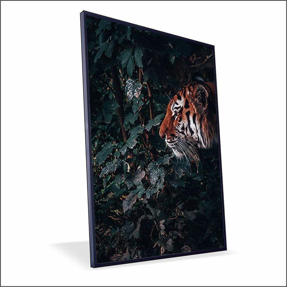 Quadro Tigre Vinil Com Vidro Tamanho-moldura 40x30 Caixa Cor Preta