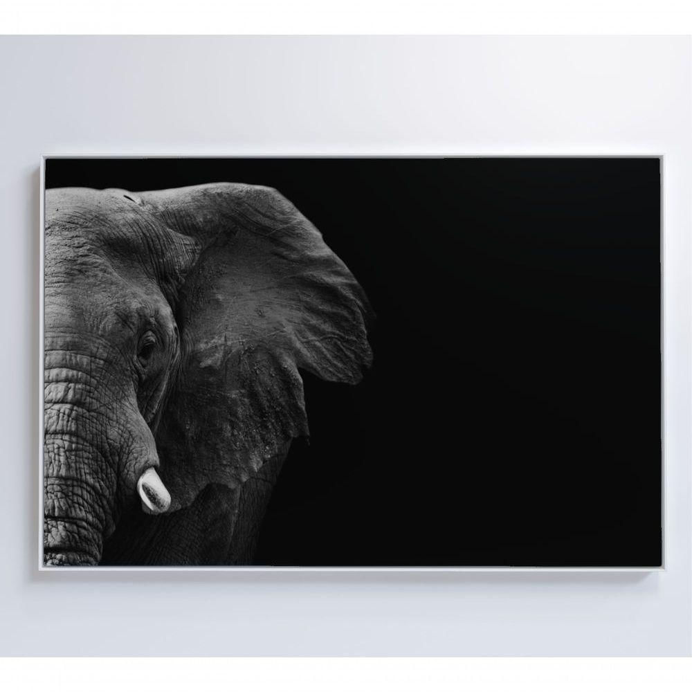 Quadro Elefante Preto E Branco 90x60 Cm Adesivo Fotográfico