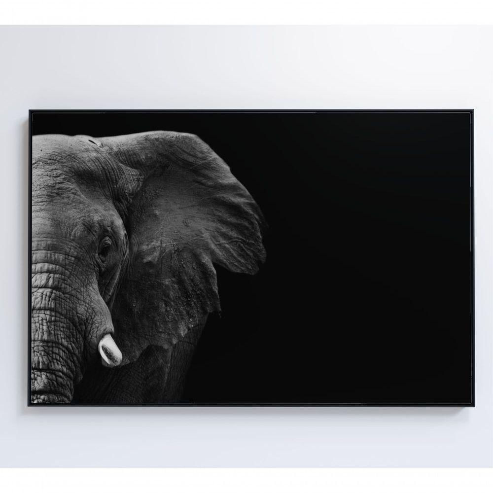 Quadro Elefante Preto E Branco 90x60 Cm Adesivo Fotográfico