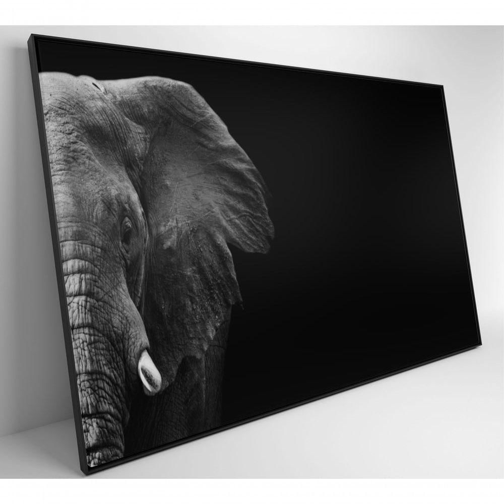 Quadro Elefante Preto E Branco 90x60 Cm Adesivo Fotográfico