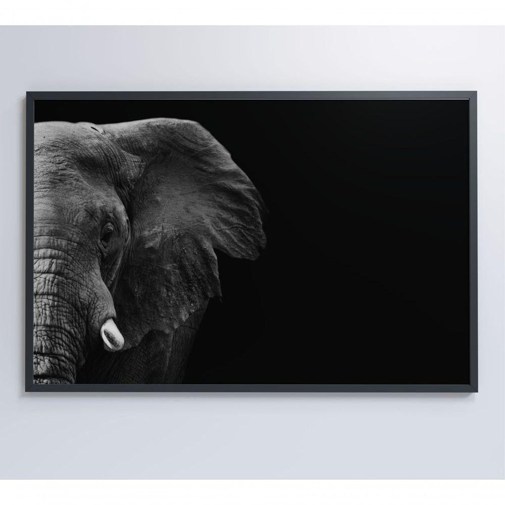 Quadro Elefante Preto E Branco 90x60 Cm Adesivo Fotográfico