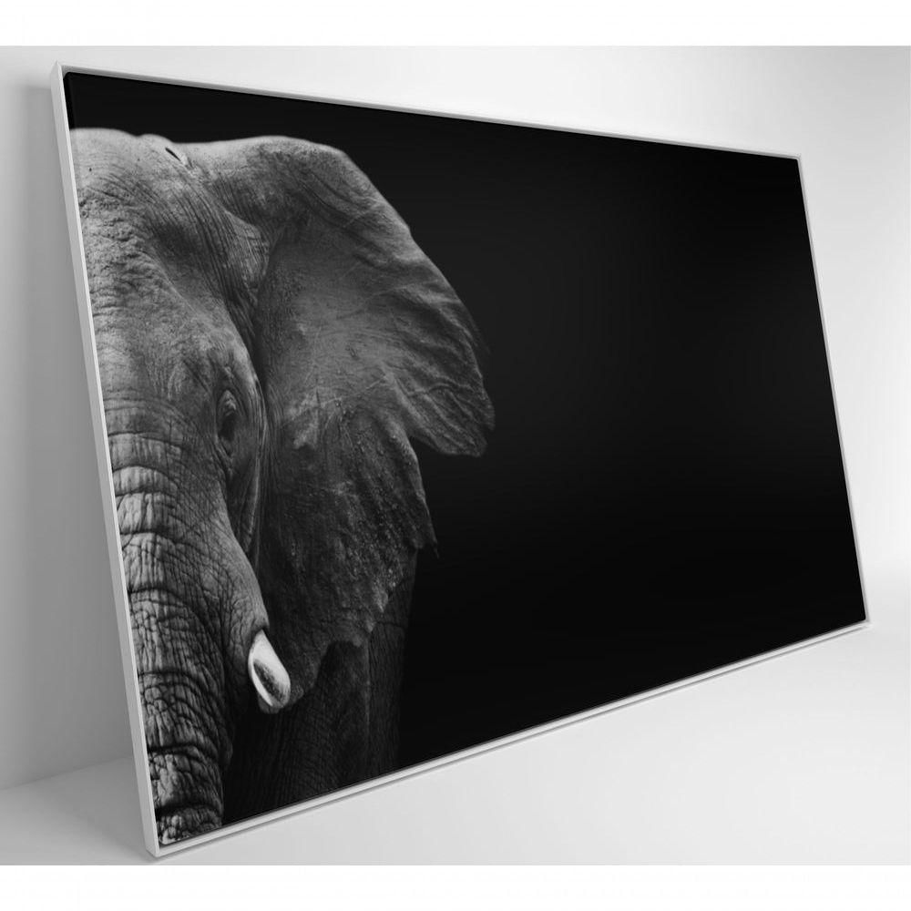 Quadro Elefante Preto E Branco 90x60 Cm Adesivo Fotográfico