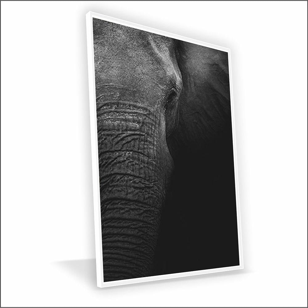 Quadro Elefante Lateral Canvas Sem Vidro Tamanho-moldura 40x30 Baixa Cor Branca