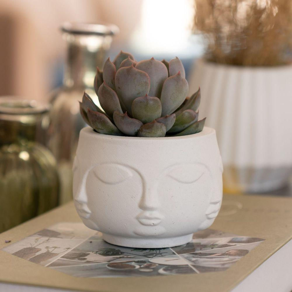 Vaso Decorativo Tarsila 10cm Artesanal Em Cimento Branco