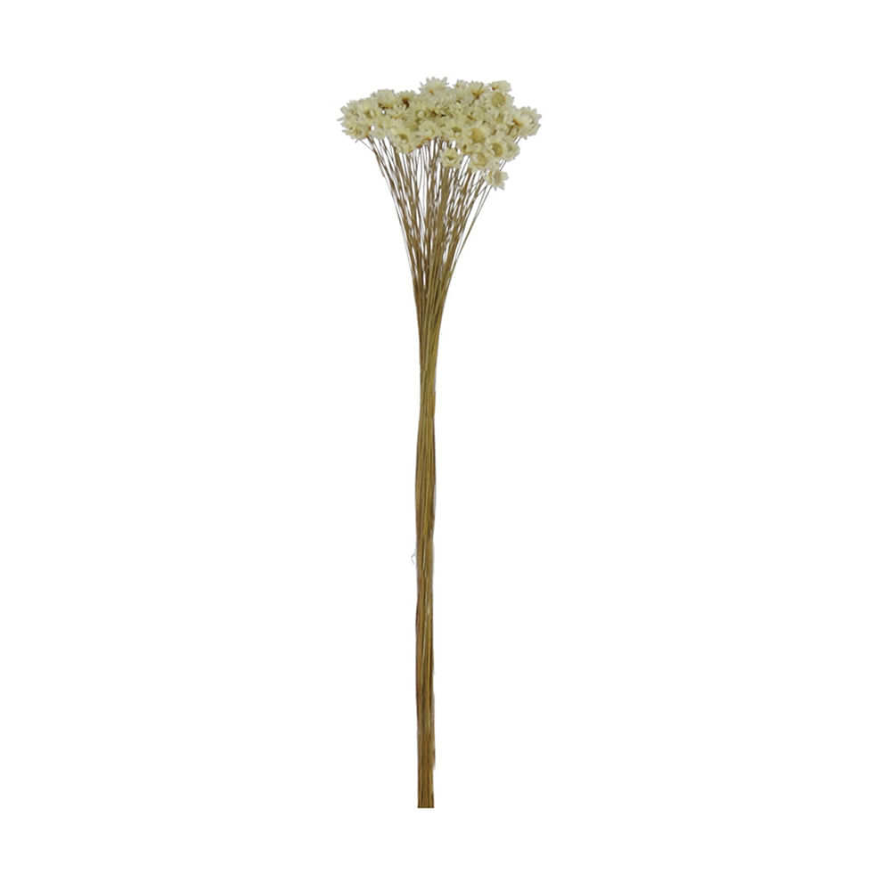 Bouquet Sempreviva Flor Arte 34cm Natural