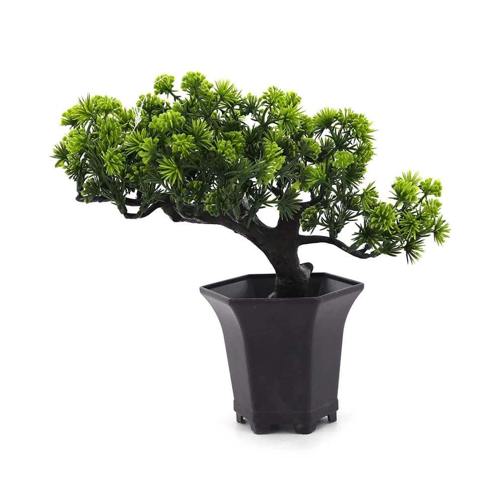 Arranjo Le Bonsai 24cm