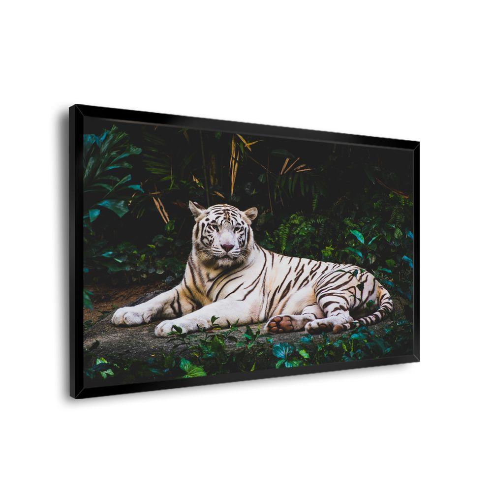 Quadro Tigre Branco Br Artes Pequeno 60x40