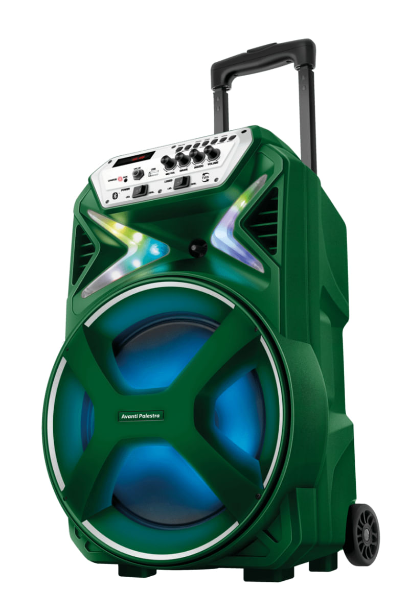 Caixa Amplificada Palmeiras CMPA-01