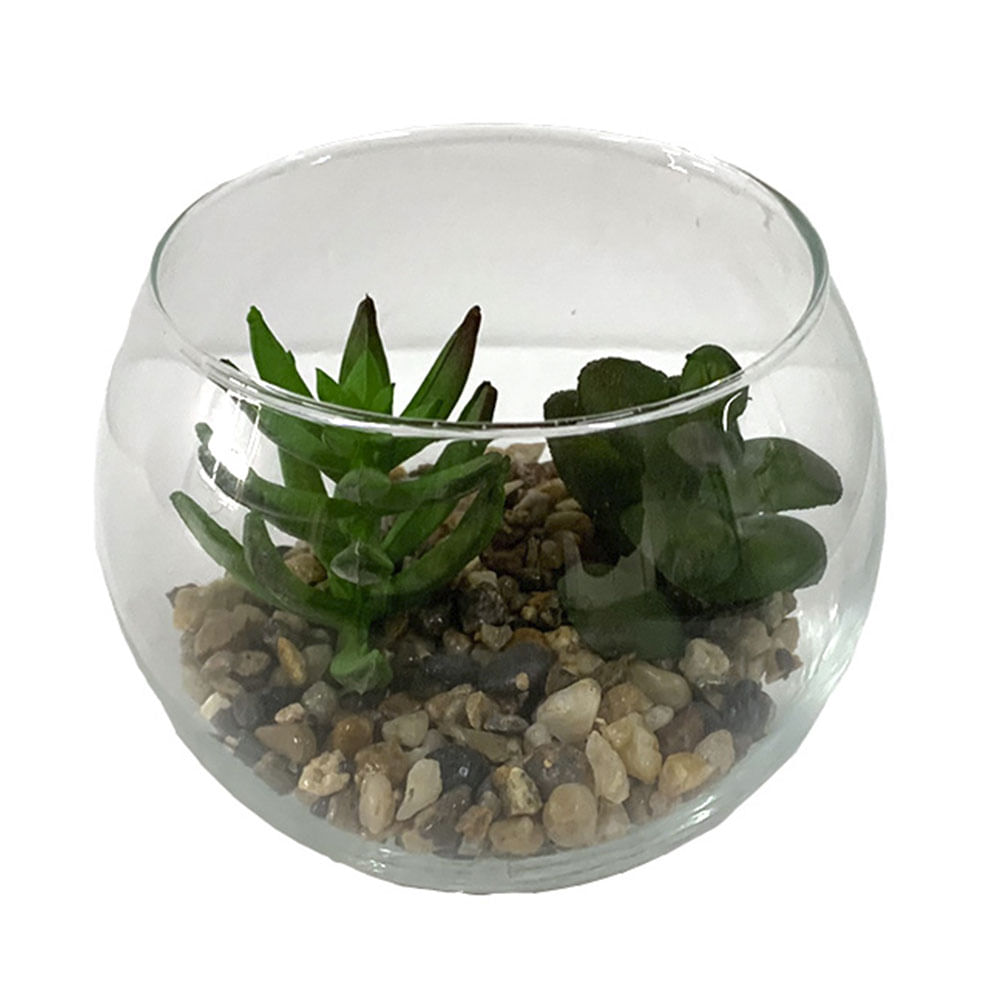 Terrário Vidro com Suculenta Le 9x10cm