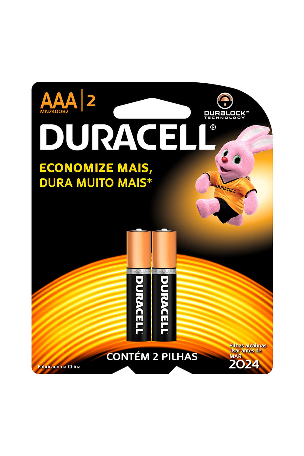 Pilha Alcalina Duracell AAA com 2 Unidades