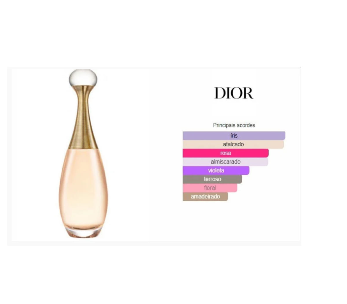 Dior Jadore Feminino Eau De Parfum 100ml