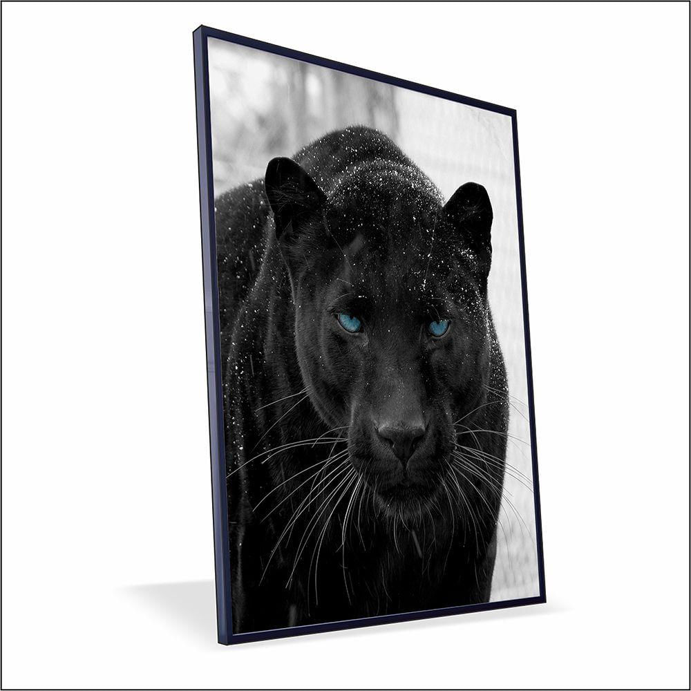 Quadro Pantera Negra Vinil Com Vidro Tamanho-moldura 20x20 Caixa Cor Preta