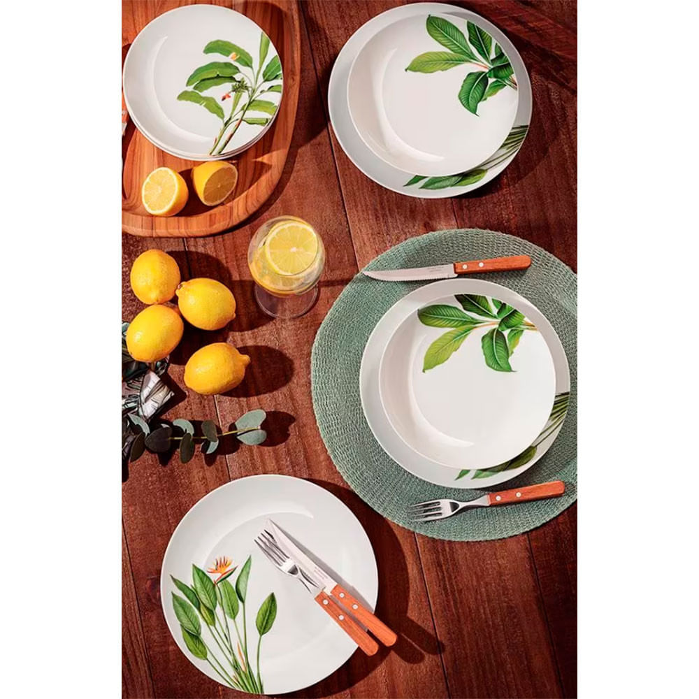 Aparelho de Jantar Tramontina Natur em Porcelana Decorada 20 Peças de  Qualidade em Promoção