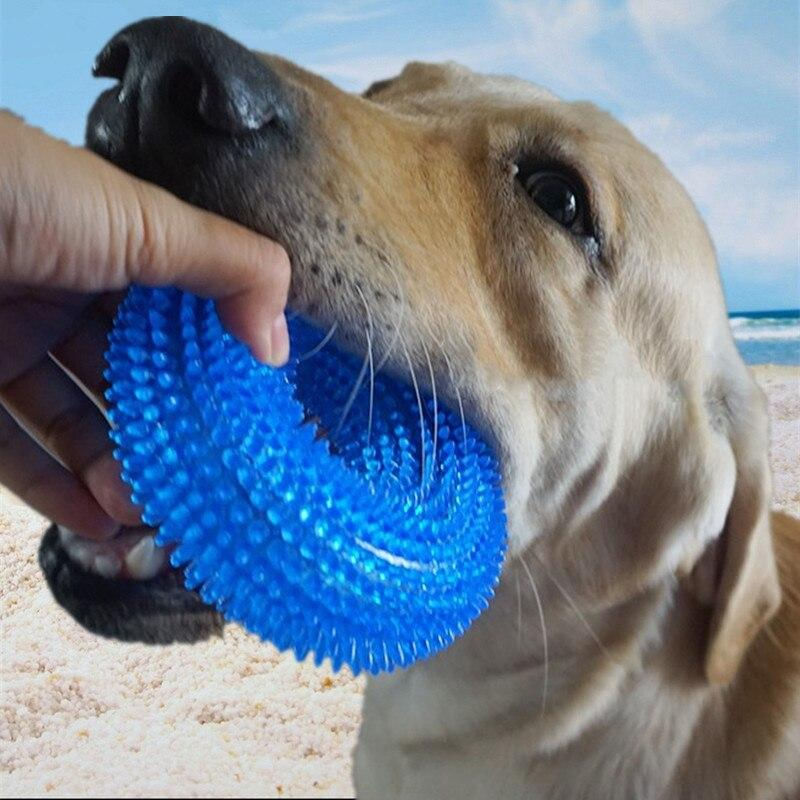 Brinquedo para Cães - Bola Sonora para Limpeza Dental
