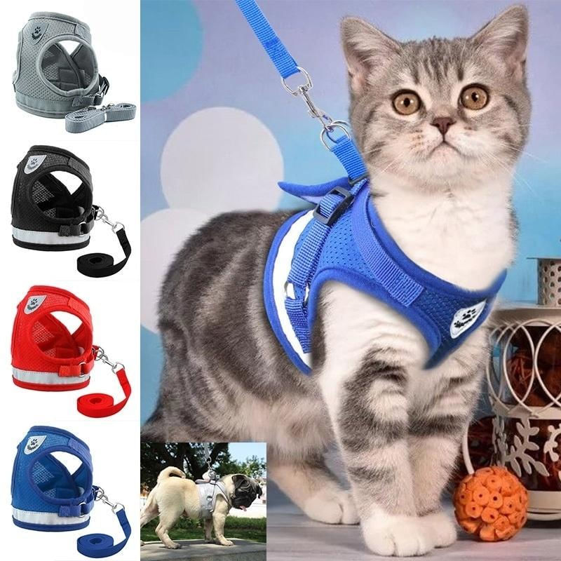 Conjunto de Coleira e Guia Refletiva para Cães e Gatos