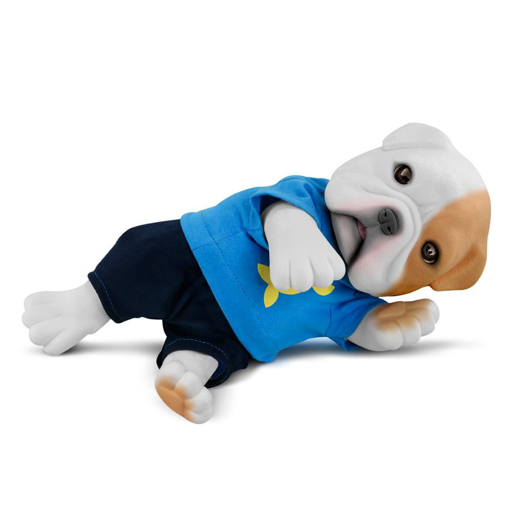 Cachorro do Luccas Neto Youtuber Filhotinhos Geek Roma 5849